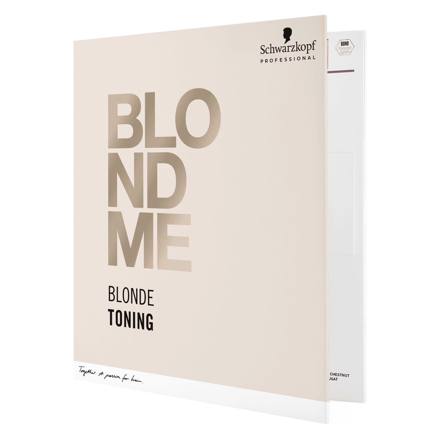 Blondme - Color Chart Toner