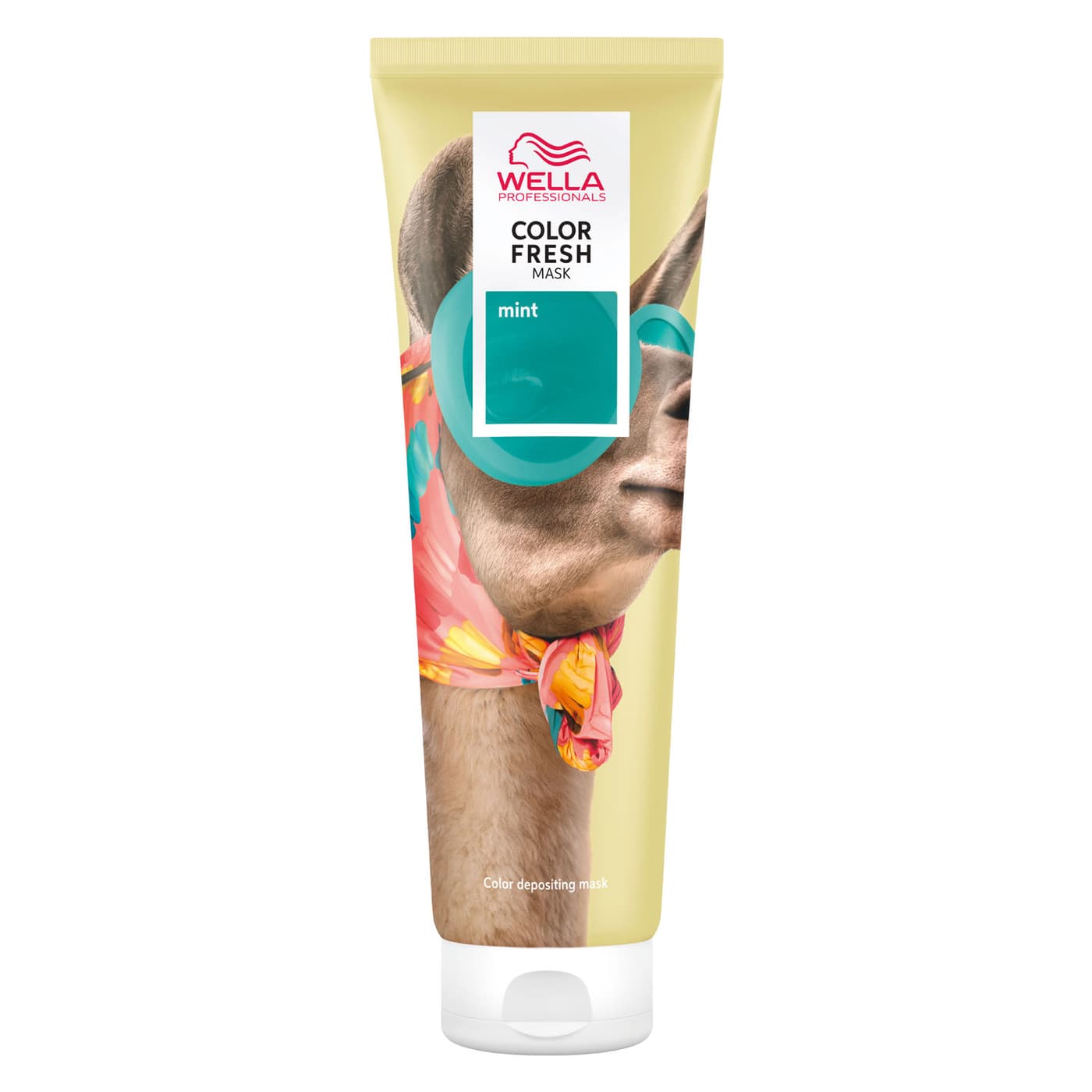Color Fresh Mask - Mint