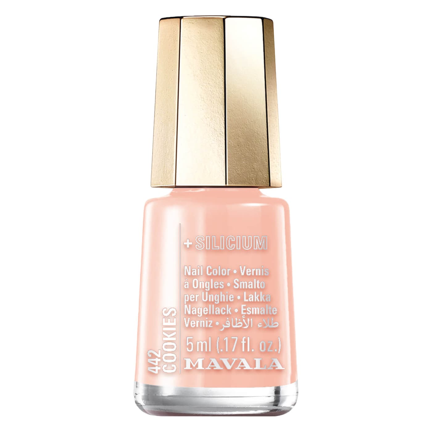 Mini Color's - Cookies 442