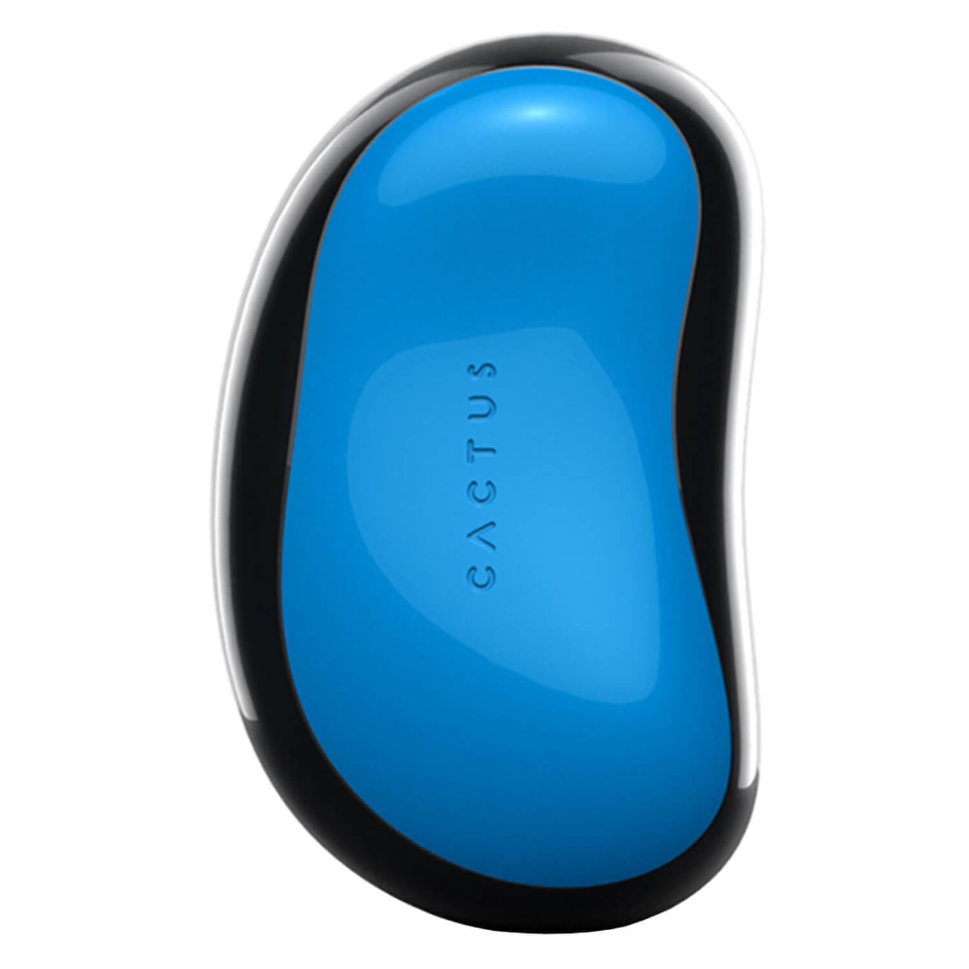 Cactus Barbora - Nordic Glow