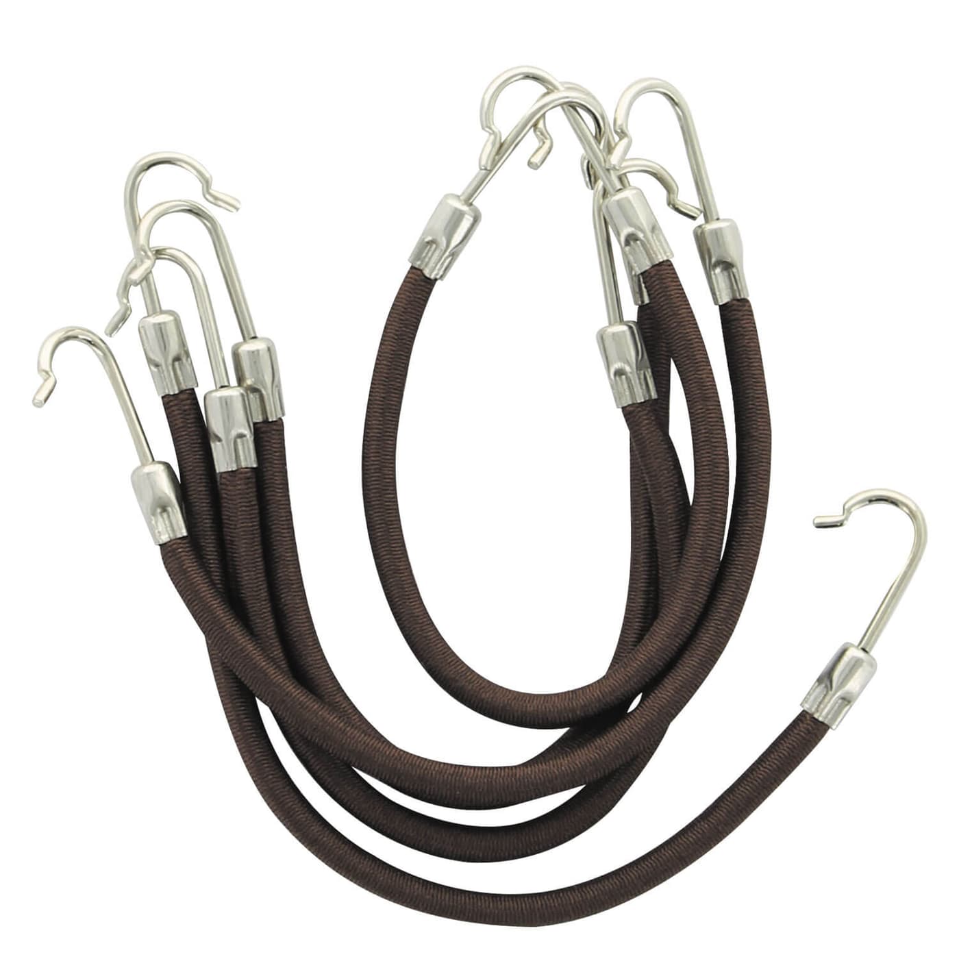 FRANCK PROVOST - Elastic mit Widerhaken Braun