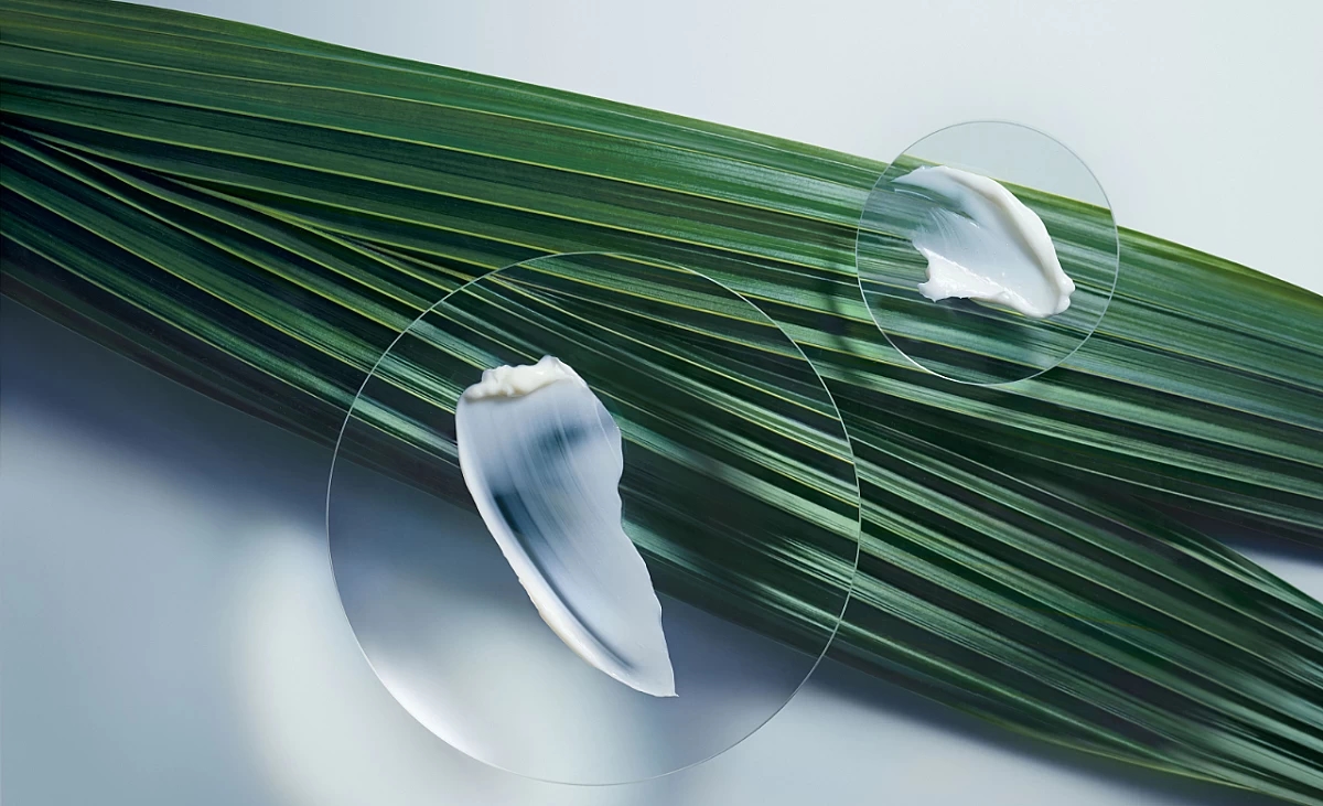 Pflanze und Pflege von Aveda Botanical Repair