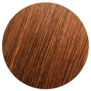 Showpony - 20" 7 PIECE CLIP IN BOXSET 6G CHESTNUT